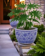 Ornate Blossom Motifs Blue & White Planter